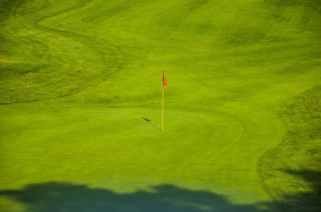 Danske golfstjerner og deres drømme om presidents cup